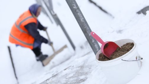 Burbulio mįslė apie kiemsargius